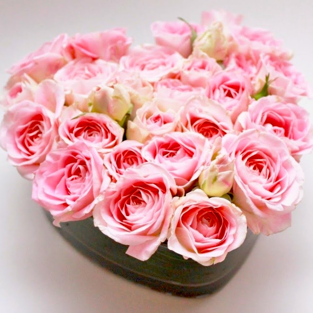 Meet your Posher, Debbie💕.